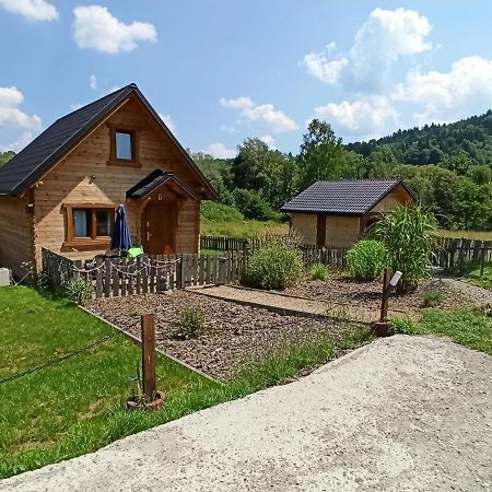 Villa Dolina Rosy Ustrzyki Dolne Exterior foto