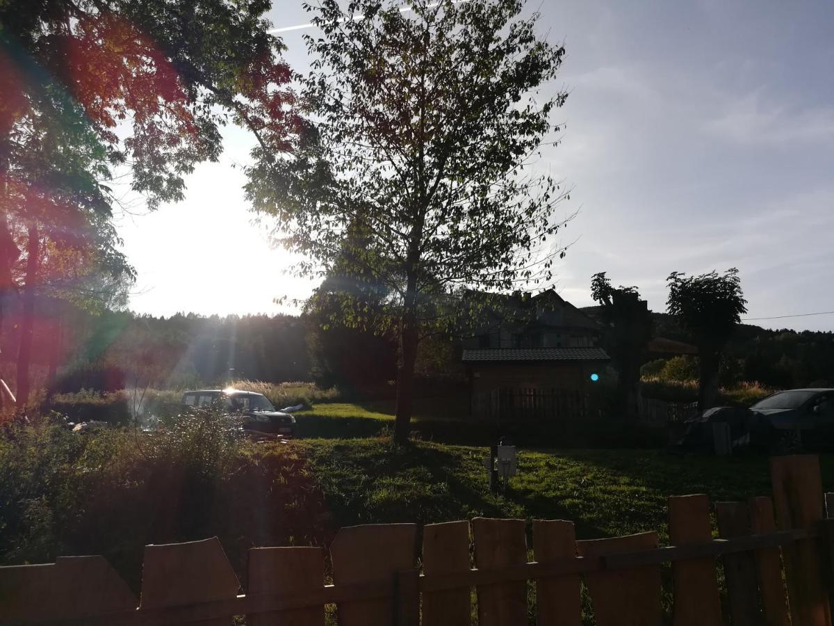 Villa Dolina Rosy Ustrzyki Dolne Exterior foto