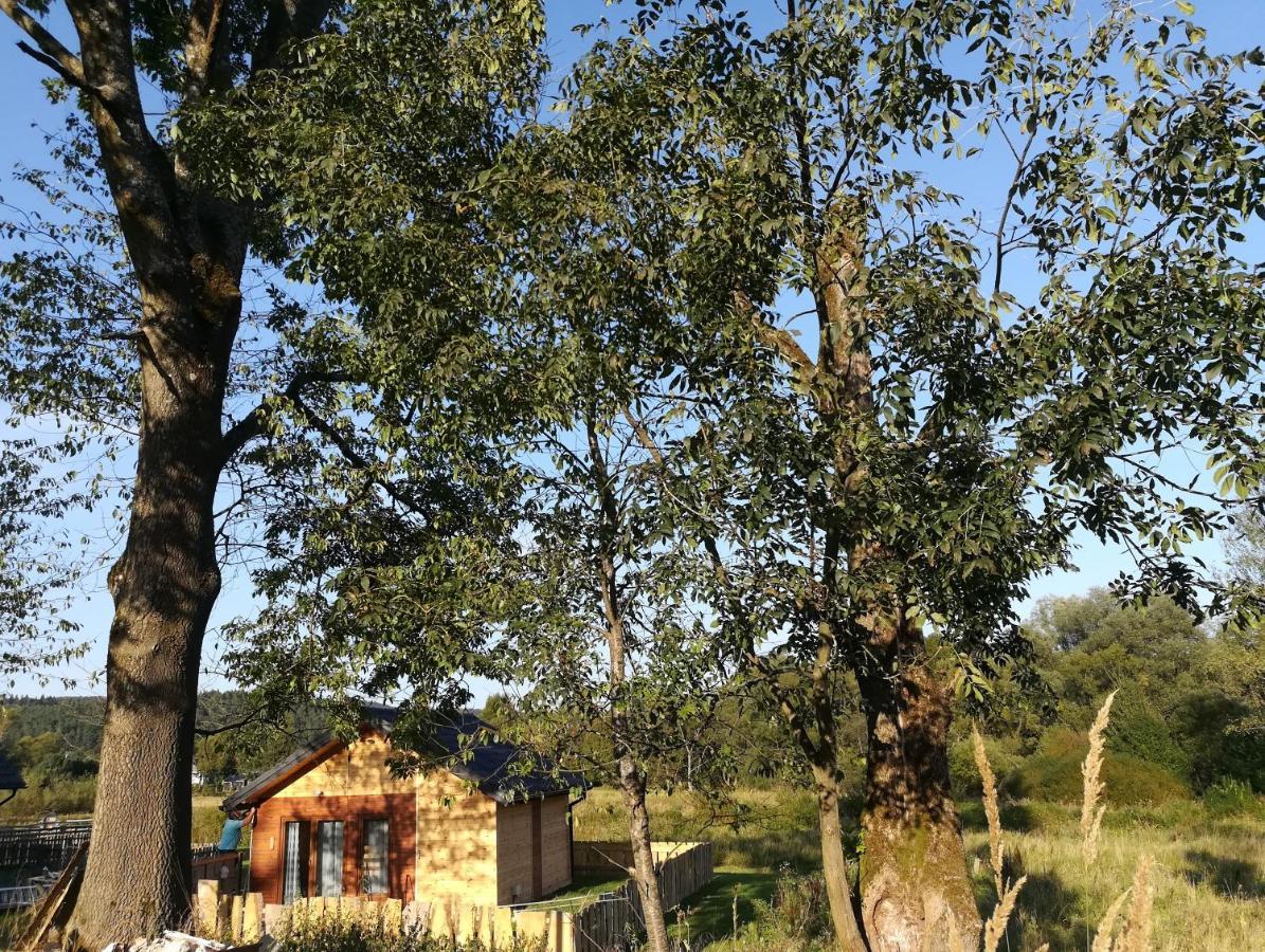 Villa Dolina Rosy Ustrzyki Dolne Exterior foto