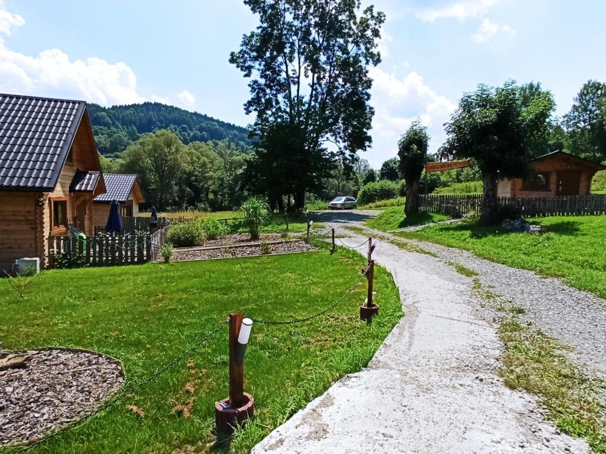 Villa Dolina Rosy Ustrzyki Dolne Exterior foto