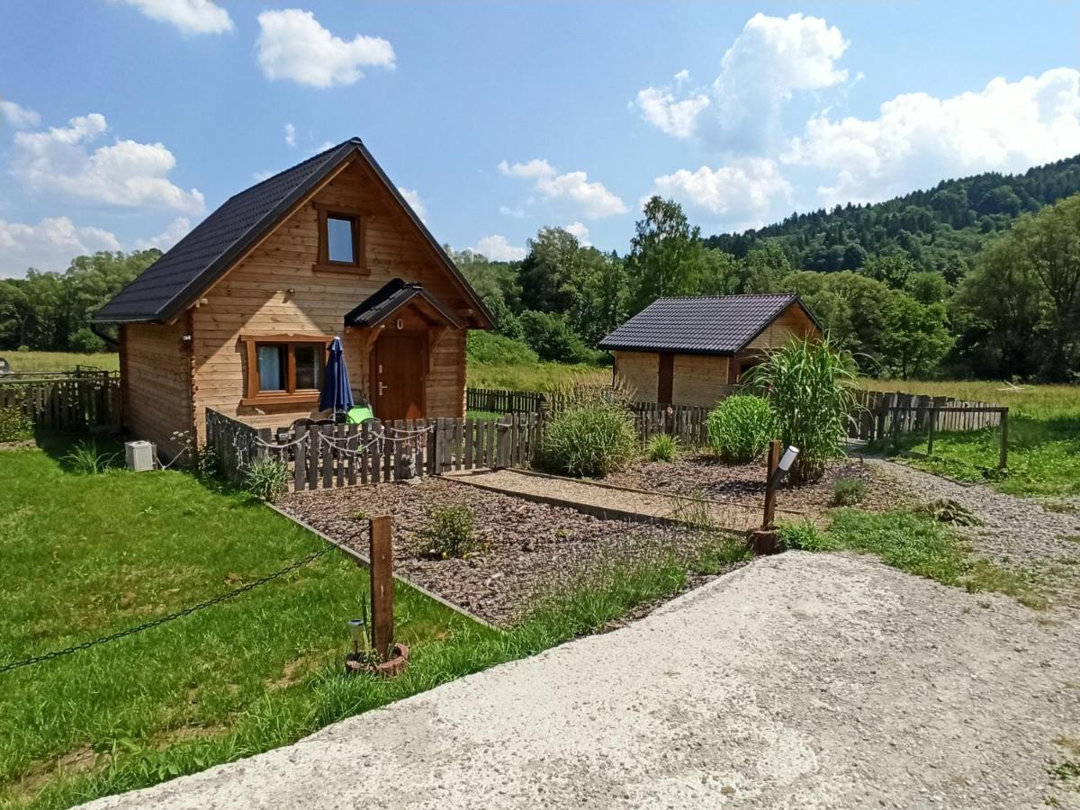 Villa Dolina Rosy Ustrzyki Dolne Exterior foto