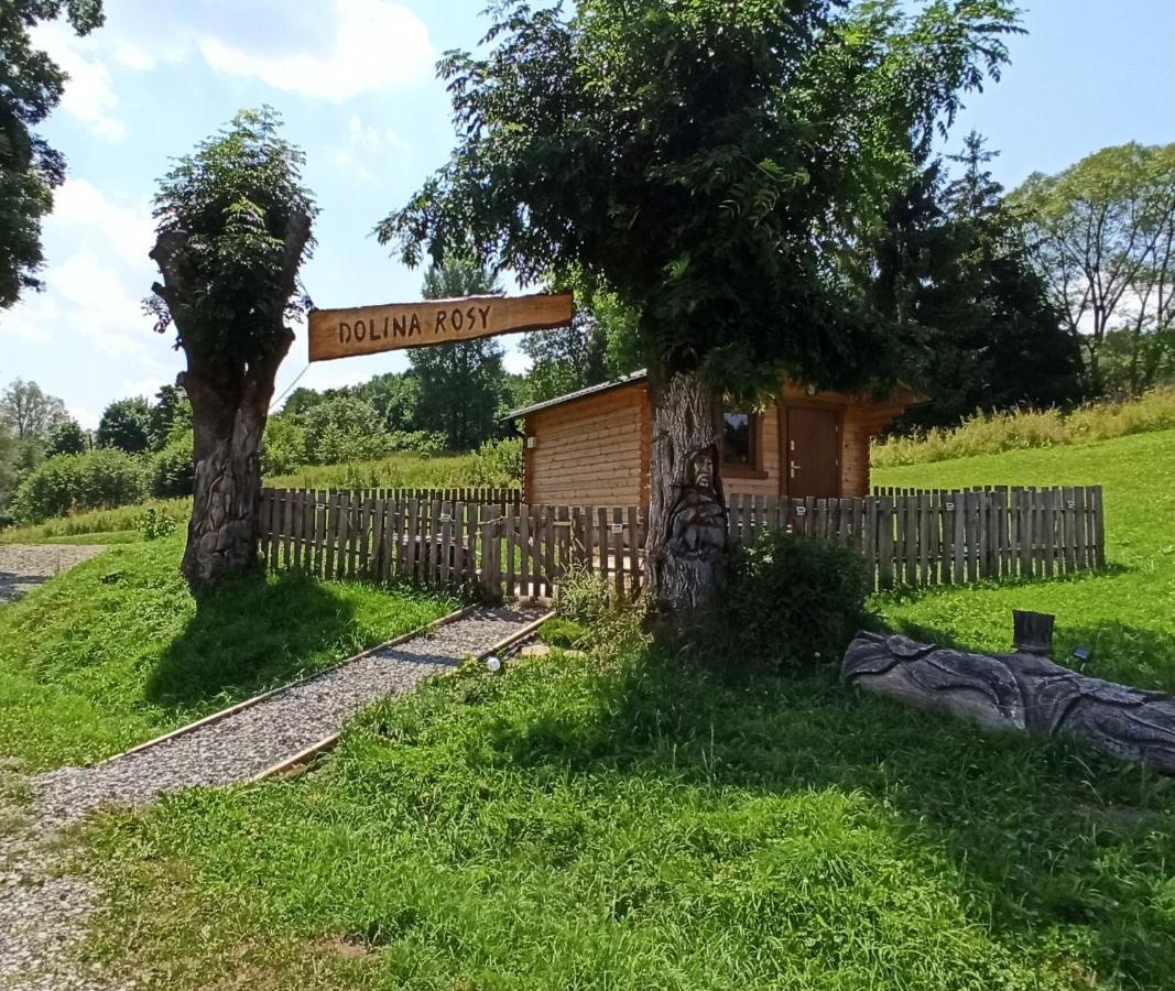 Villa Dolina Rosy Ustrzyki Dolne Exterior foto
